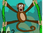 لعبة القرد العنكبوت